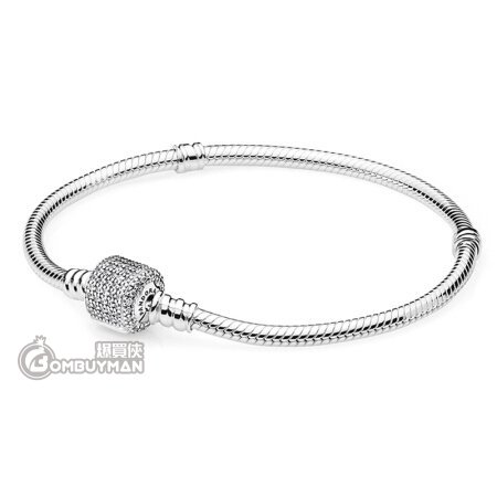 19 pandora charm